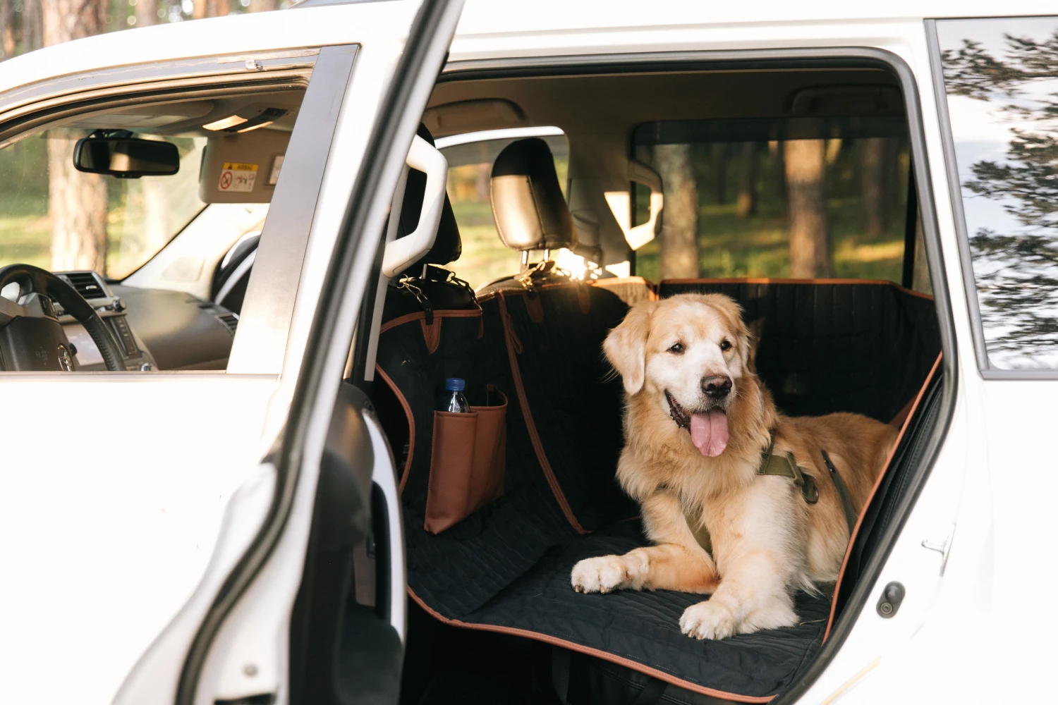 Jeep Renegade back seat cover for Newfoundlands