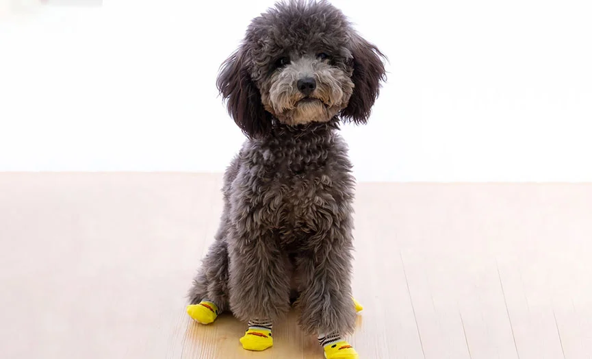 Breathable Fabric Dog Socks