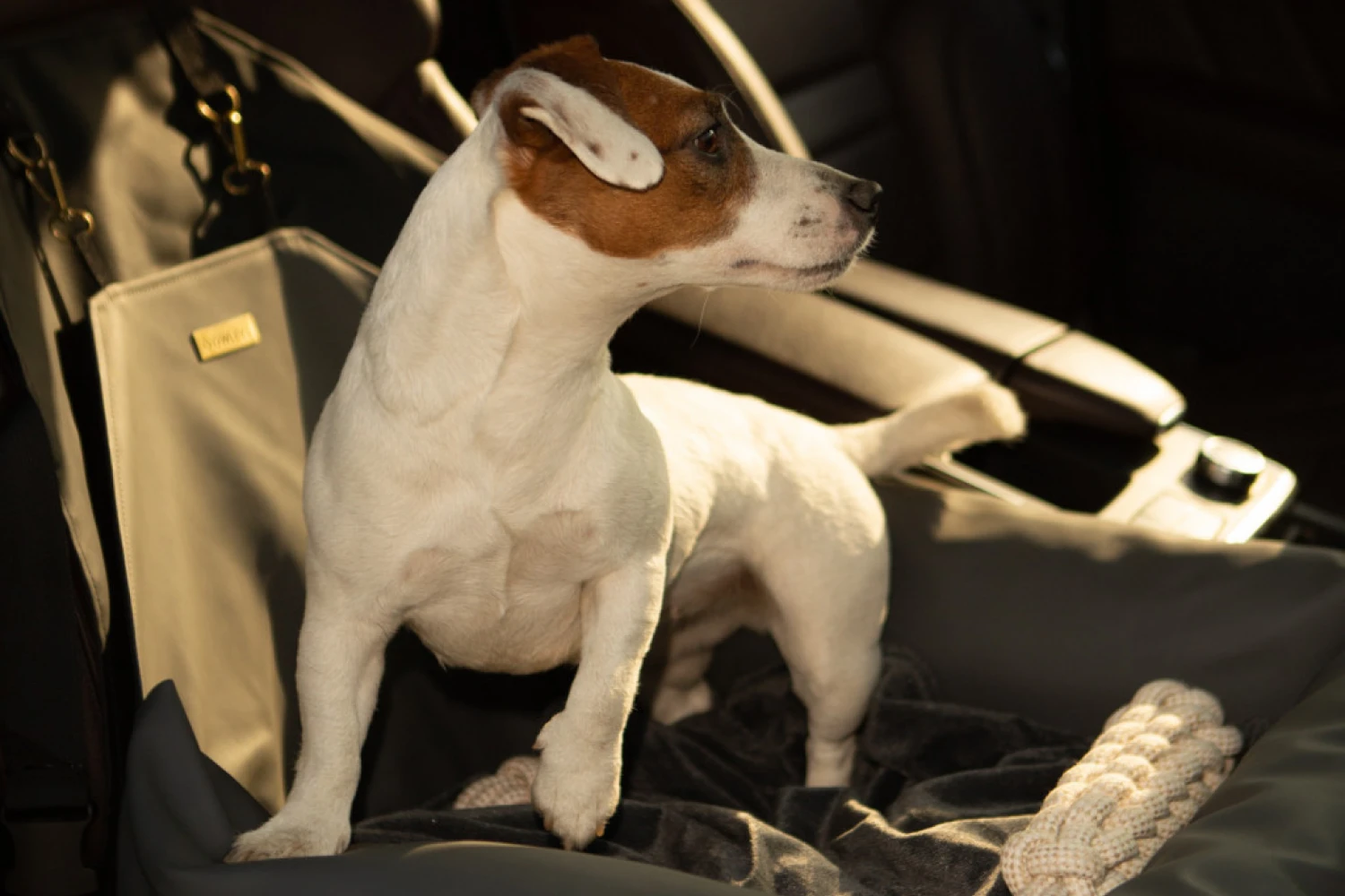 Shar-Pei Dog Car Seat for Toyota Camry