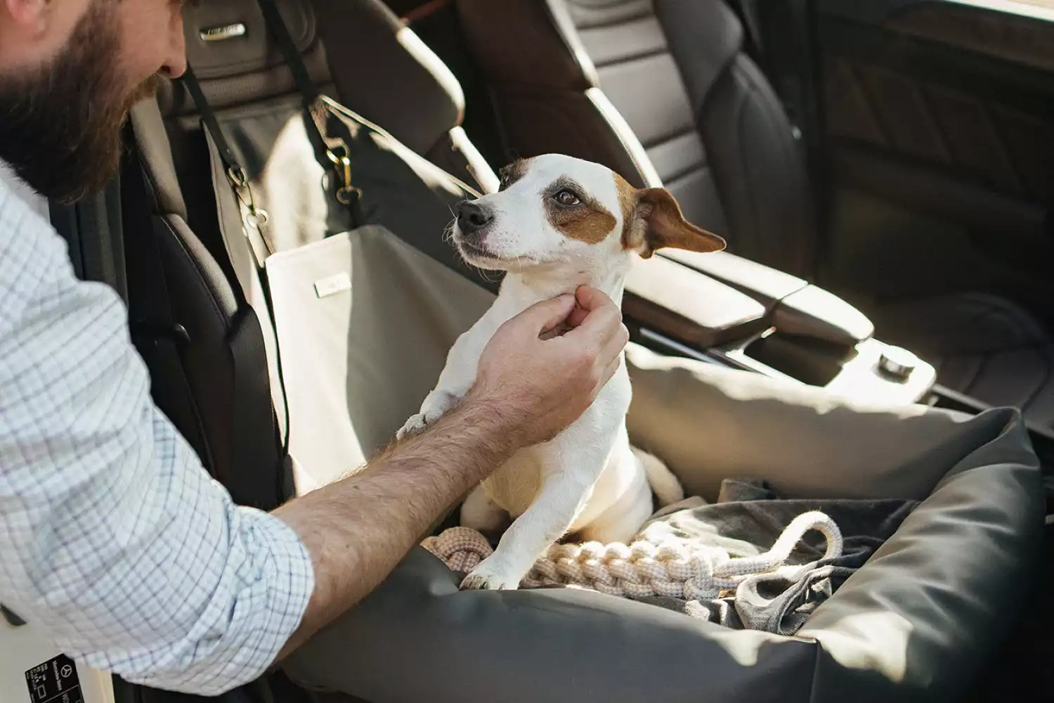 Ram Truck Dog Car Seat for Miniature Bull Terriers