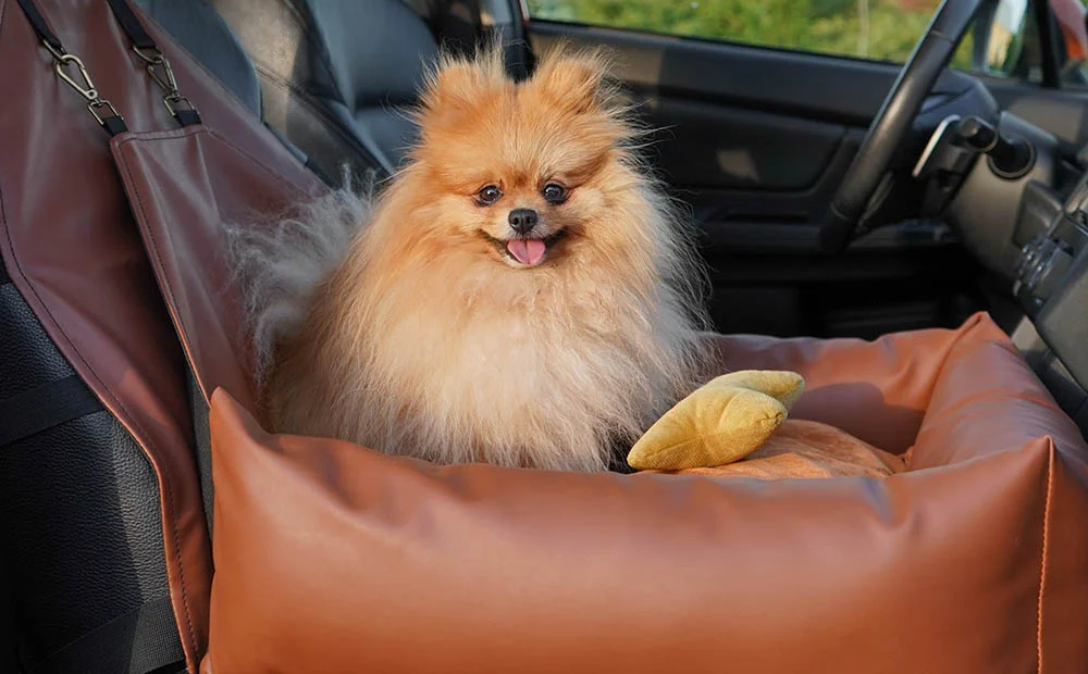 Subaru Forester Dog Car Seat for Icelandic Sheepdogs