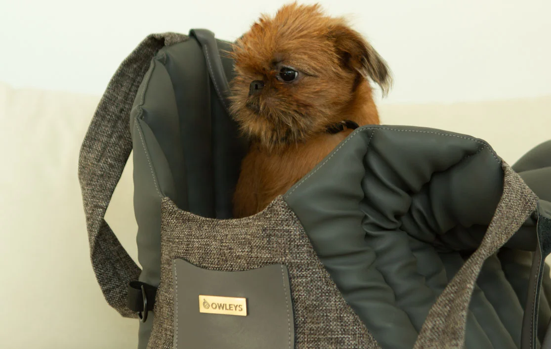 Miniature American Shepherd Dog Carrier Car Seat for Hyundai Elantra