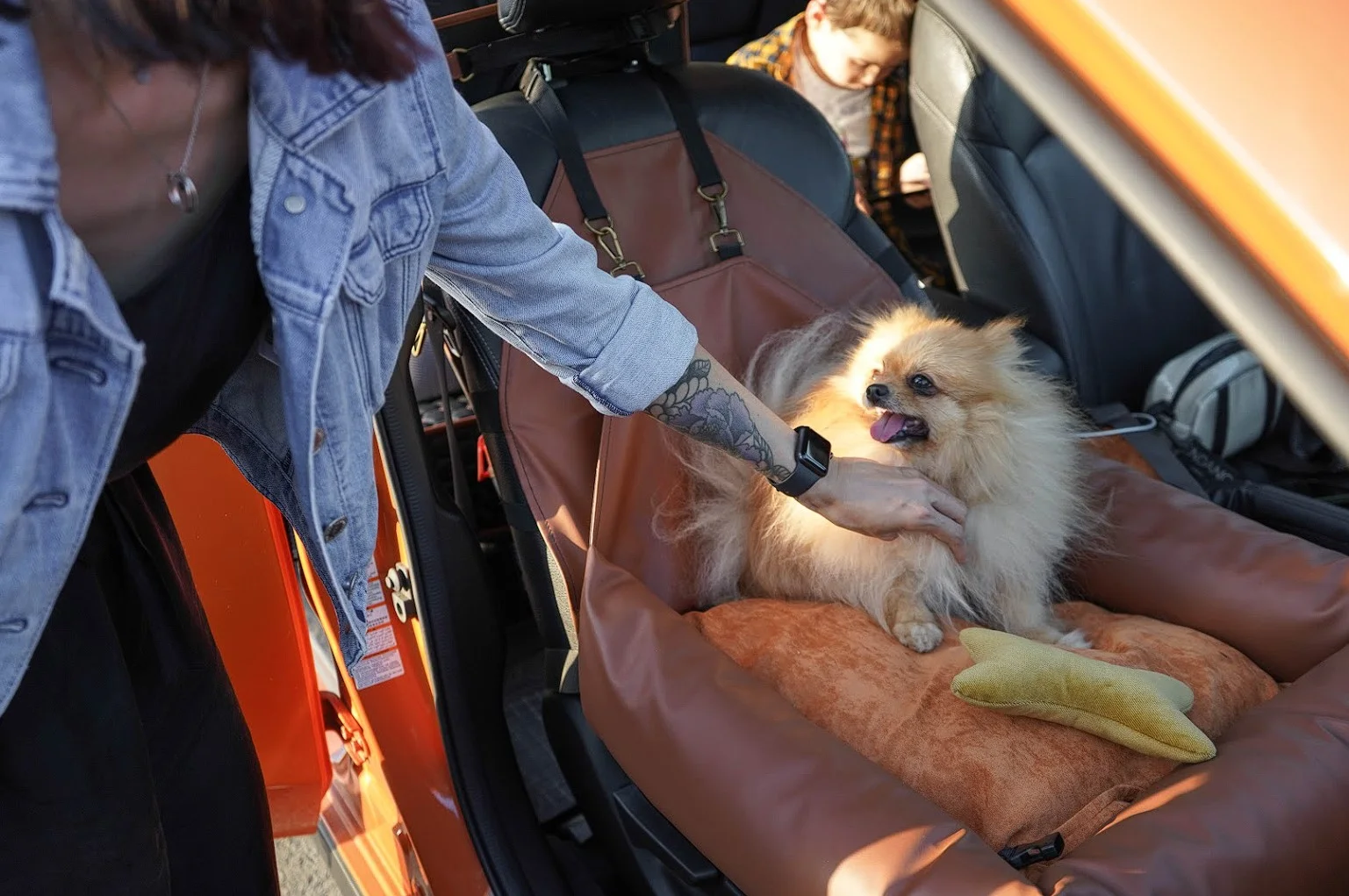 Shar-Pei Dog Car Seat for Toyota Camry