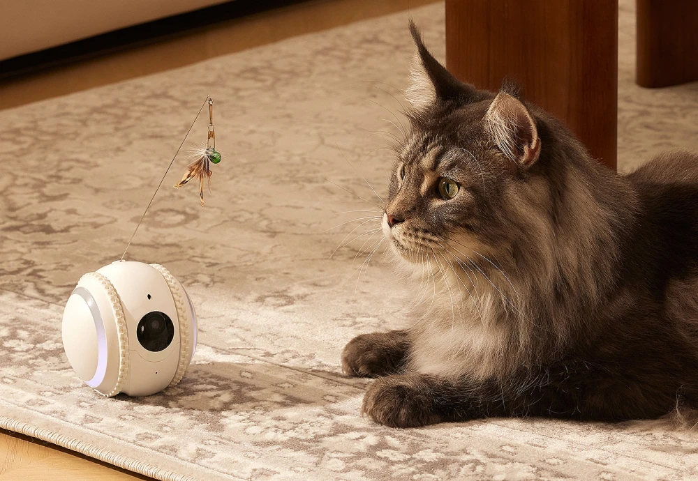 best home camera system for pets