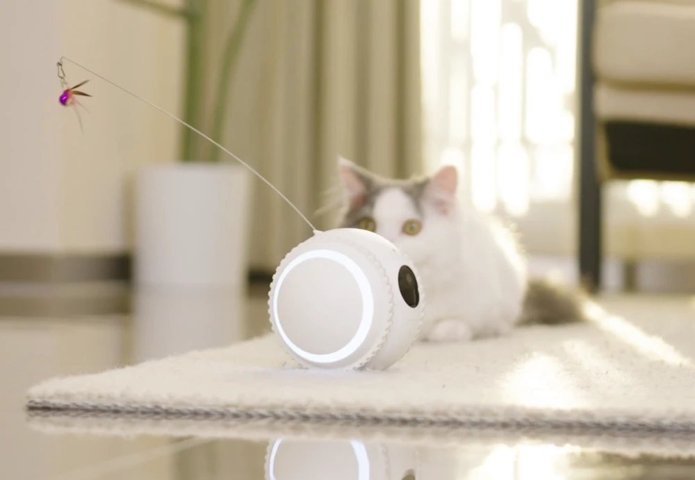 best in home pet camera